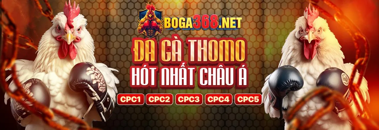 nowgoal - Nền tảng Cá cược Thể thao và Casino Trực tuyến